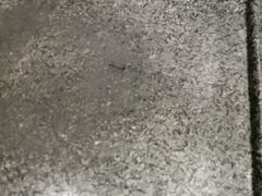 -韩阳王石板烤肉
