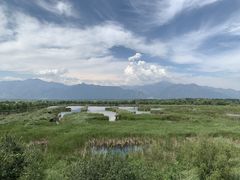 -野鸭湖国家湿地公园