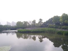 -尚贤河湿地