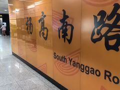 -杨高南路(地铁站)