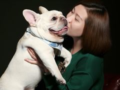 -超宠爱宠物摄影-Super pet