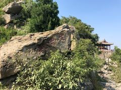 -北京鹫峰国家森林公园