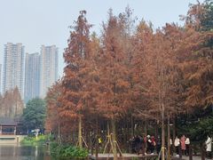 -重庆彩云湖湿地公园