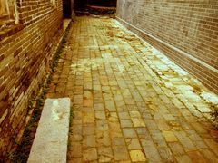 android_upload_pic-扬美古镇景区