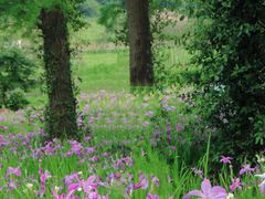 -东钱湖旅游度假区