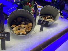 -加餐海鲜自助(宝龙一城店)