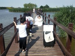 -西青郊野公园