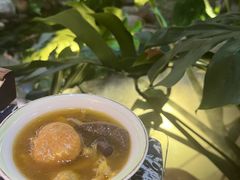 -菌林天下·野生菌汤锅