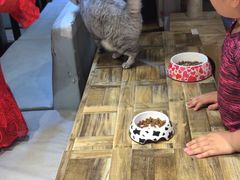 -小时光咖啡馆(开森度假森林店)