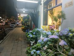 -溪岸路花鸟市场