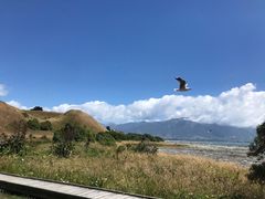 -Kaikoura Seafood BBQ Kiosk