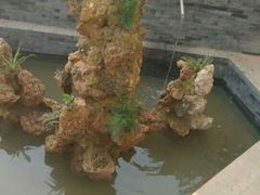 android_upload_pic-楠柏弯休闲山庄(梨花溪店)