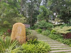 -火炉山森林公园