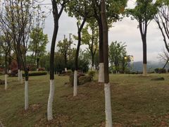 -铁山坪森林公园