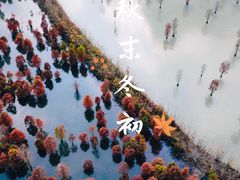 -池杉湖湿地公园