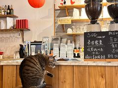 -栖咖啡(泉舜店)
