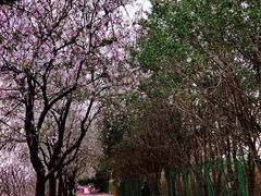 -南丰汇(新港东路店)