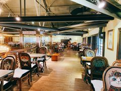 大堂-more than meow吴止猫主题餐厅(承德 中船汇店)