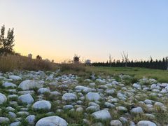 -汉长安城未央宫国家考古遗址公园