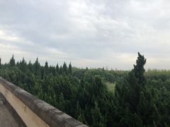 -汉景帝阳陵博物院