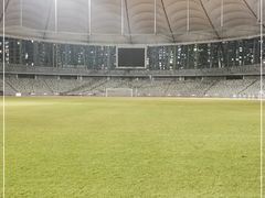 -深圳市宝安体育中心体育场