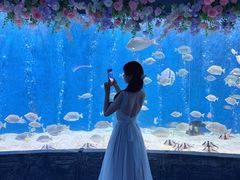 -合肥海洋世界