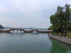 -渤公岛生态公园