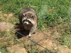 -秦皇岛野生动物园