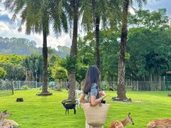 -东南花都花博园