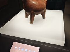 -山东博物馆