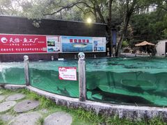 -天怡·鱼工厂(梅溪湖店)