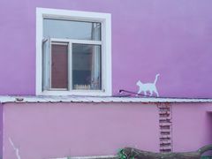 -百里峡七彩艺术小镇