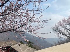 -妙峰山风景名胜区