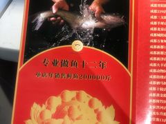 -蜀滋香鲜鱼美蛙火锅(339店)