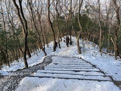 -紫金山山顶公园
