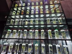 -广东中医药博物馆