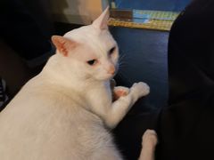 -Doors独立剧情密室(东门分店)