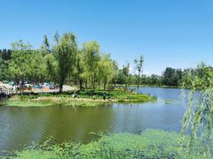 -东郊湿地公园