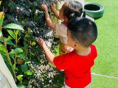 -MuaKids Garden