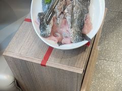 -蜀滋香鲜鱼美蛙火锅(339店)