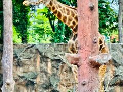 -清迈夜间动物园