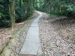 -西湖风景区十里琅珰-五云山