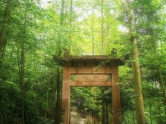 -凤栖山