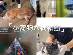 -爱侣·安琦尔宠物医院·中兽医针灸·心内科·狂犬免疫点(宝山区院)