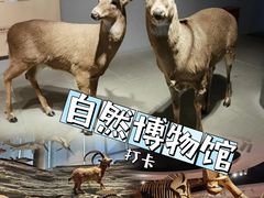 -上海自然博物馆