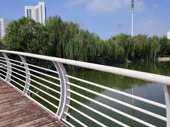 -南翠屏公园