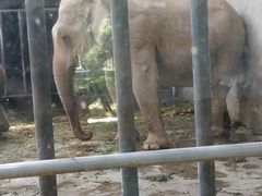 -石家庄市动物园