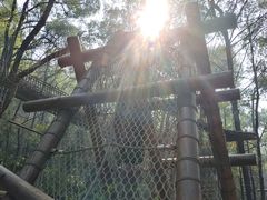 -石燕湖生态旅游景区