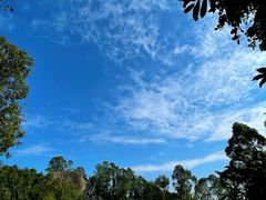 -火炉山森林公园