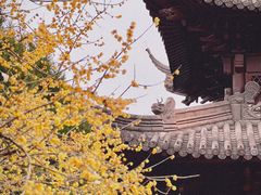 -钱王祠
